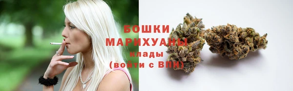 гидра Бронницы