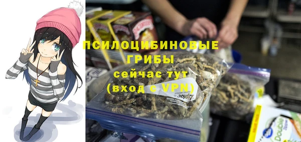 гидра Бронницы