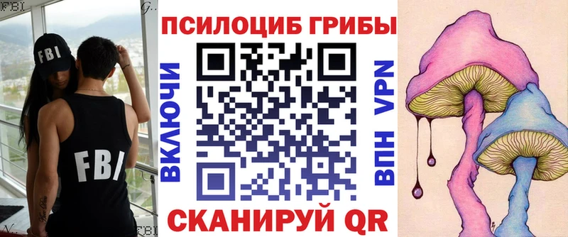Псилоцибиновые грибы мицелий  Моршанск 